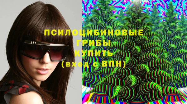 ПСИЛОЦИБИНОВЫЕ ГРИБЫ Алзамай