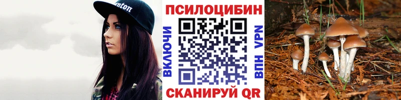 Галлюциногенные грибы мухоморы цены наркотик Куровское