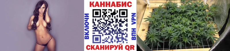Марихуана MAZAR Куровское
